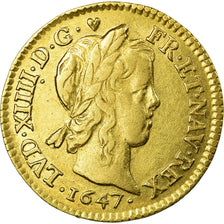 Munten, Frankrijk, Louis XIV, 1/2 Louis d'or à la mèche longue, 1/2 Louis