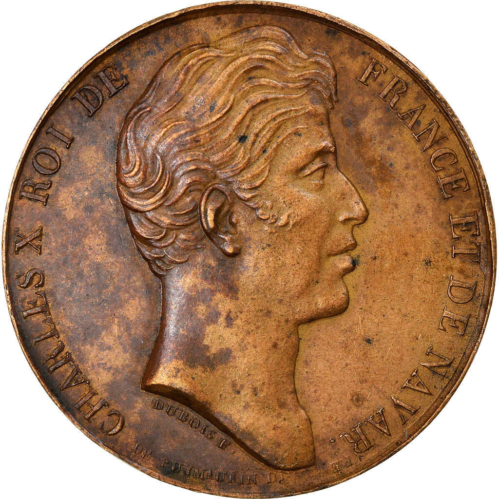 France, Medal, Charles X, Médaille offerte aux Vendéens, History, Dubois F.