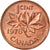 Münze, Kanada, Elizabeth II, Cent, 1978, Royal Canadian Mint, SS, Bronze