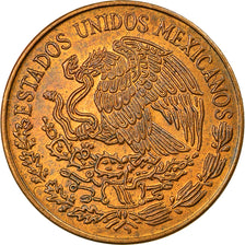 Münze, Mexiko, 5 Centavos, 1976, Mexico City, VZ, Messing, KM:427