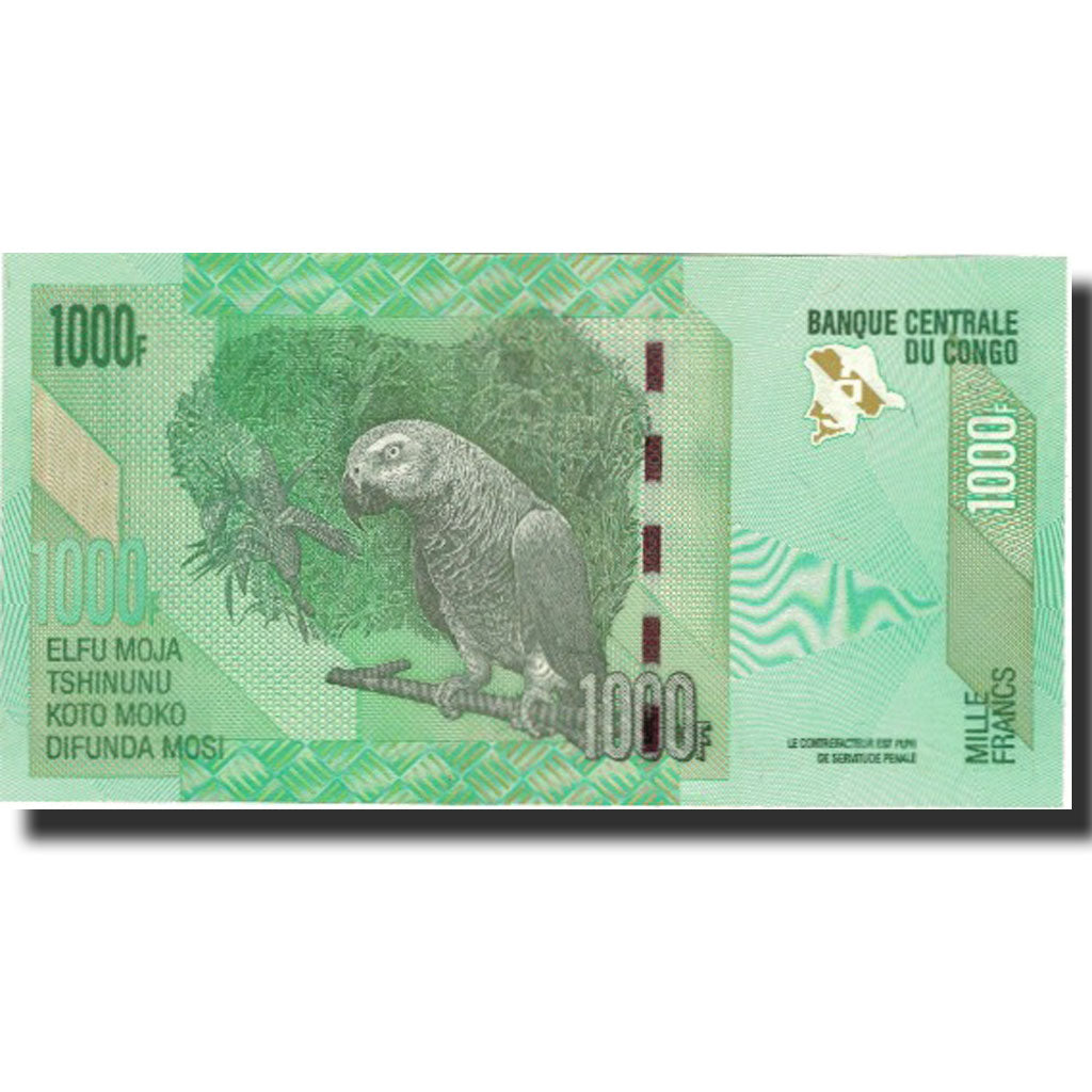 Banknote, Congo Democratic Republic, 1000 Francs, 2013, 2013-06-30, KM:101b