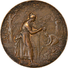 France, Medal, Henri Dubois, Médailles, Paris, Arts & Culture, Dubois.H