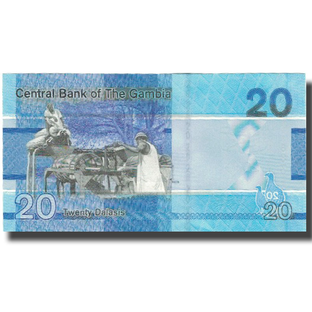 Billet, Gambia, 20 Dalasis, 2019, 2019, NEUF