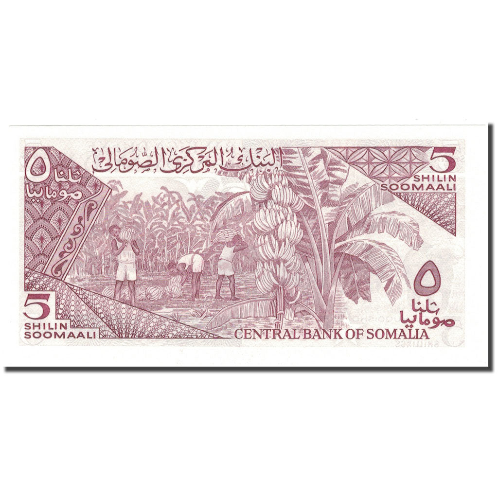 Billet, Somalie, 5 Shilin = 5 Shillings, 1983, 1983, KM:31a, NEUF