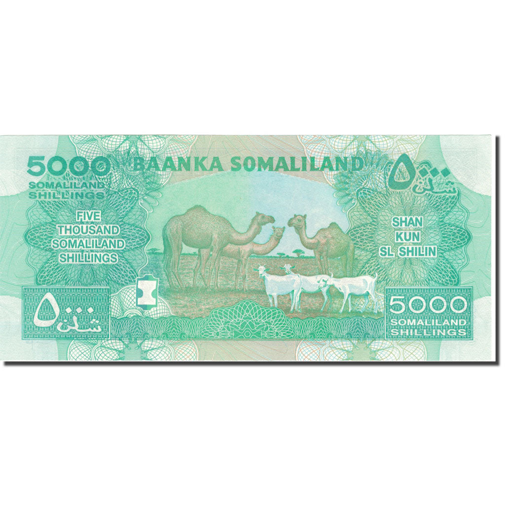 Billet, Somaliland, 5000 Shillings, 2011, KM:21, NEUF