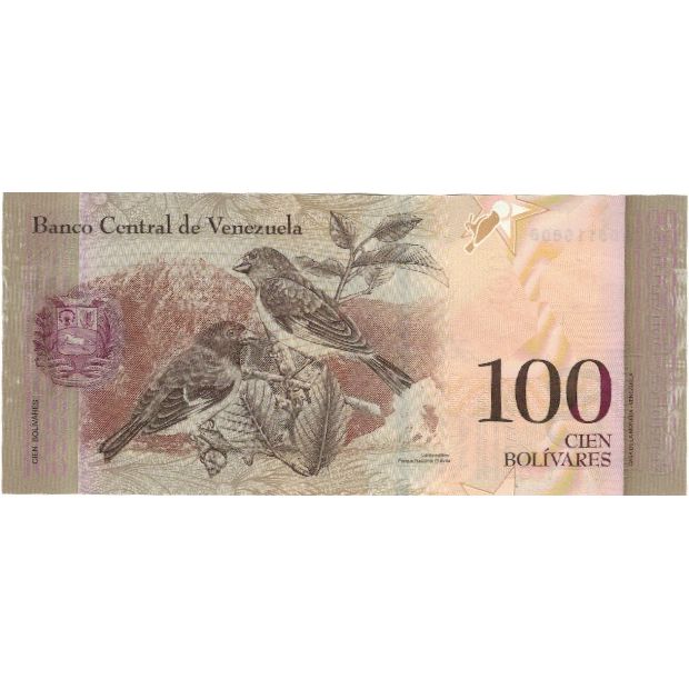 Banknote, Venezuela, 100 Bolivares, 2007, 2007-03-20, KM:93a, UNC(63)