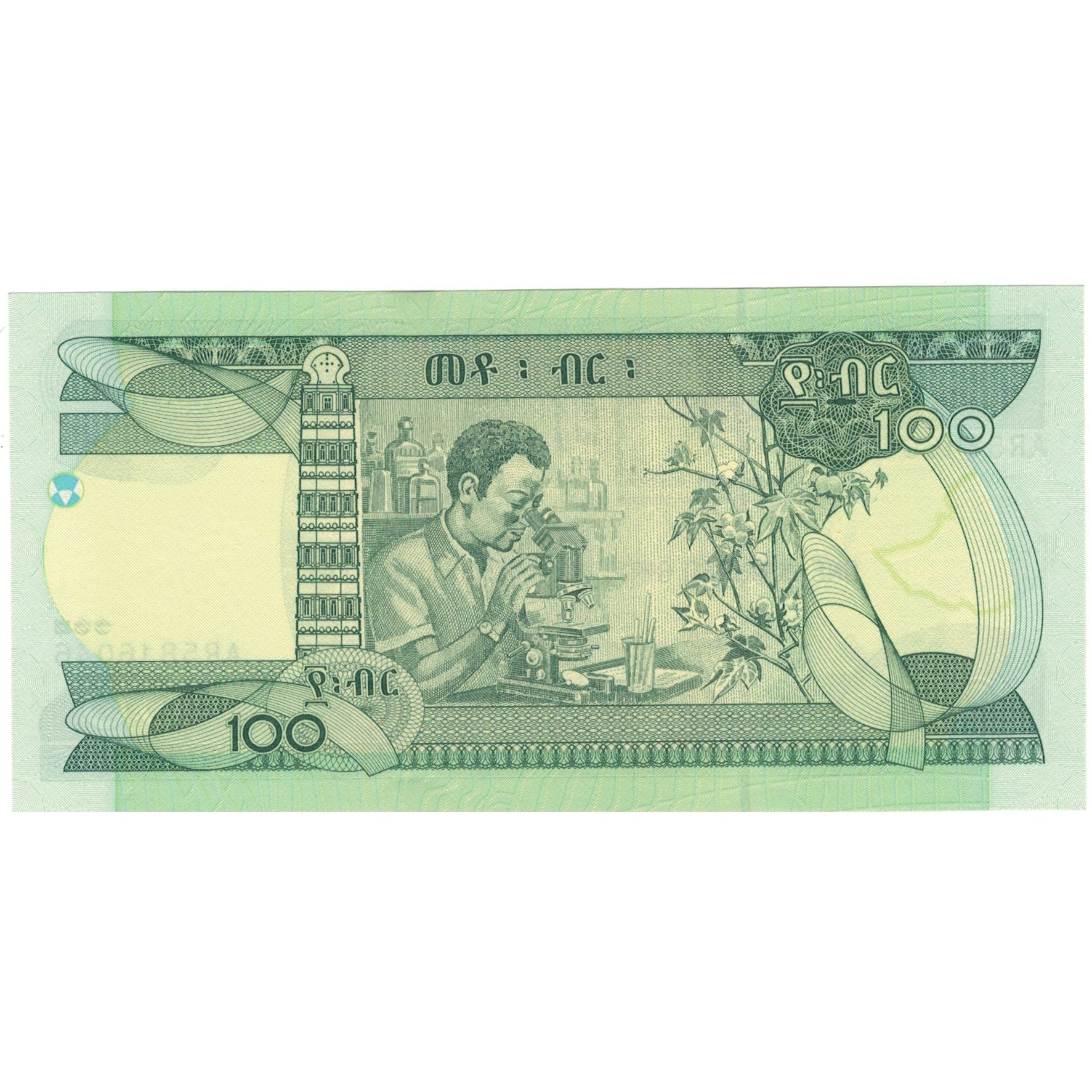 Banknote, Ethiopia, 100 Birr, 2006, 2006, KM:52c, UNC(65-70)