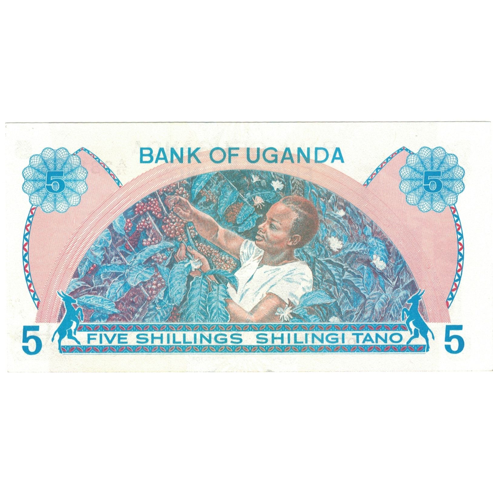 Banknote, Uganda, 5 Shillings, Undated (1979), KM:10, UNC(64)