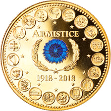 France, Medal, Centenaire de l'Armistice, Politics, Society, War, 2018