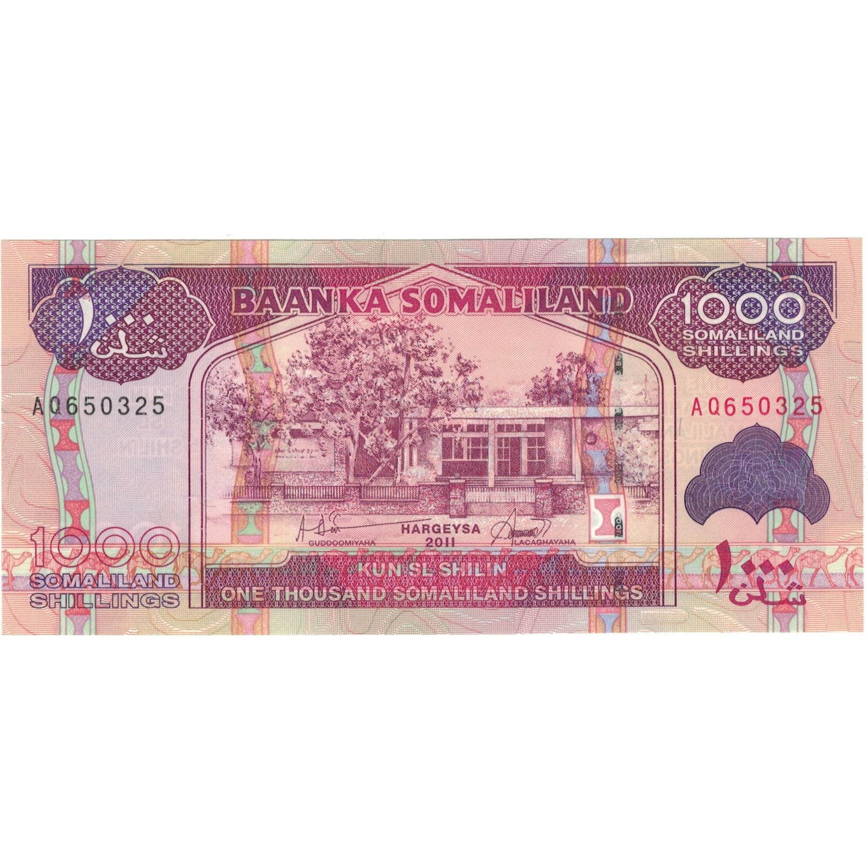 Banknote, Somaliland, 1000 Shillings, 2011, 2011, KM:20, UNC(65-70)