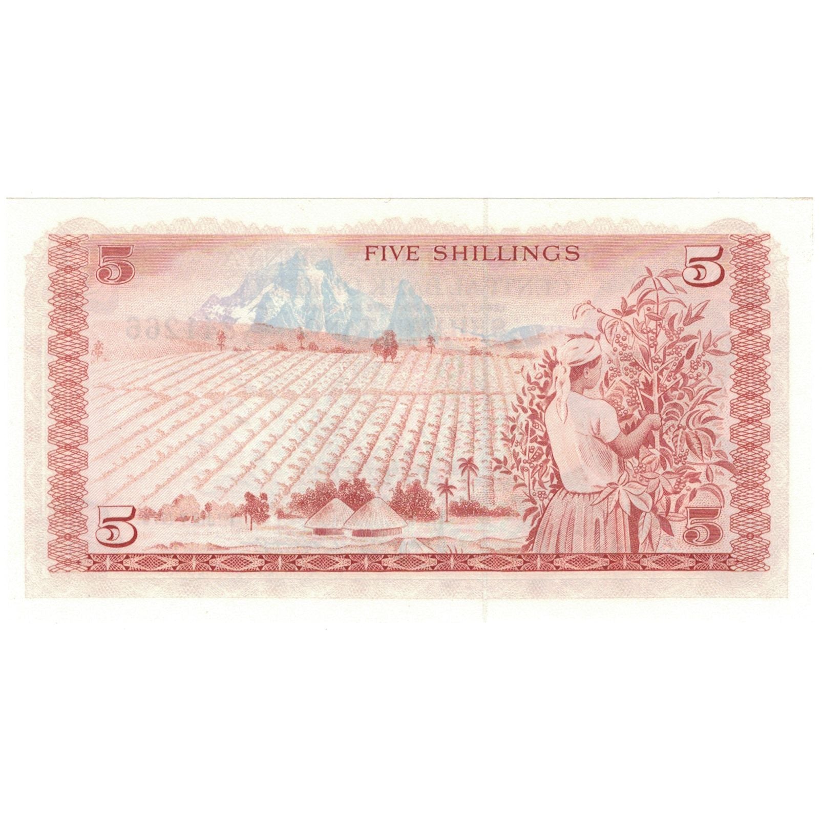 Banknote, Kenya, 5 Shillings, 1978-07-01, KM:15, UNC(65-70)