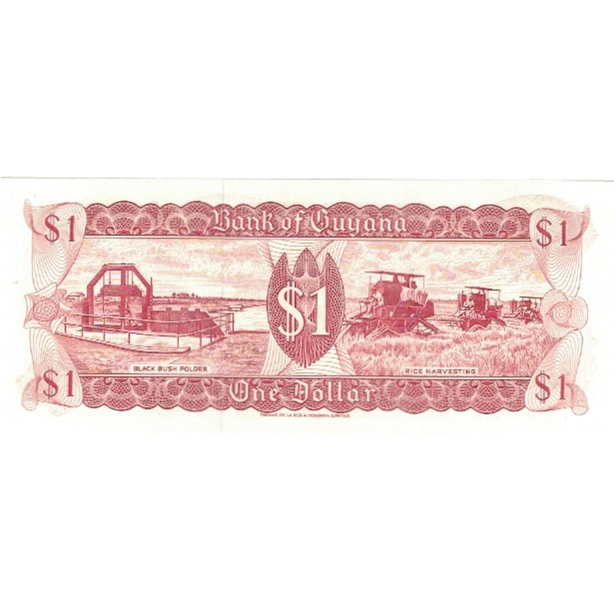 Banknote, Guyana, 1 Dollar, Undated (1966), KM:21e, UNC(65-70)