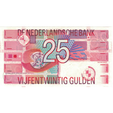 Banknote, Netherlands, 25 Gulden, 1989, 1989-04-05, KM:100, UNC(65-70)