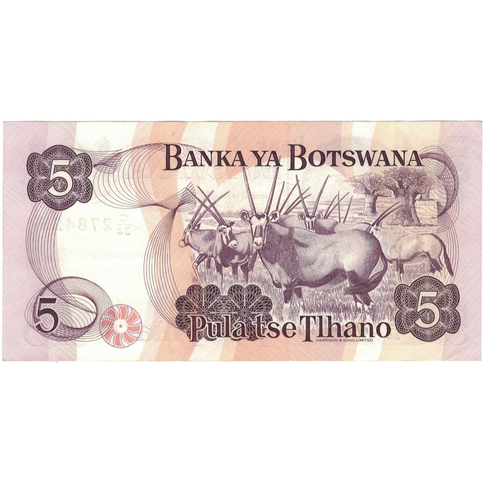 Geldschein, Botswana, 5 Pula, 1982, KM:8a, VZ+