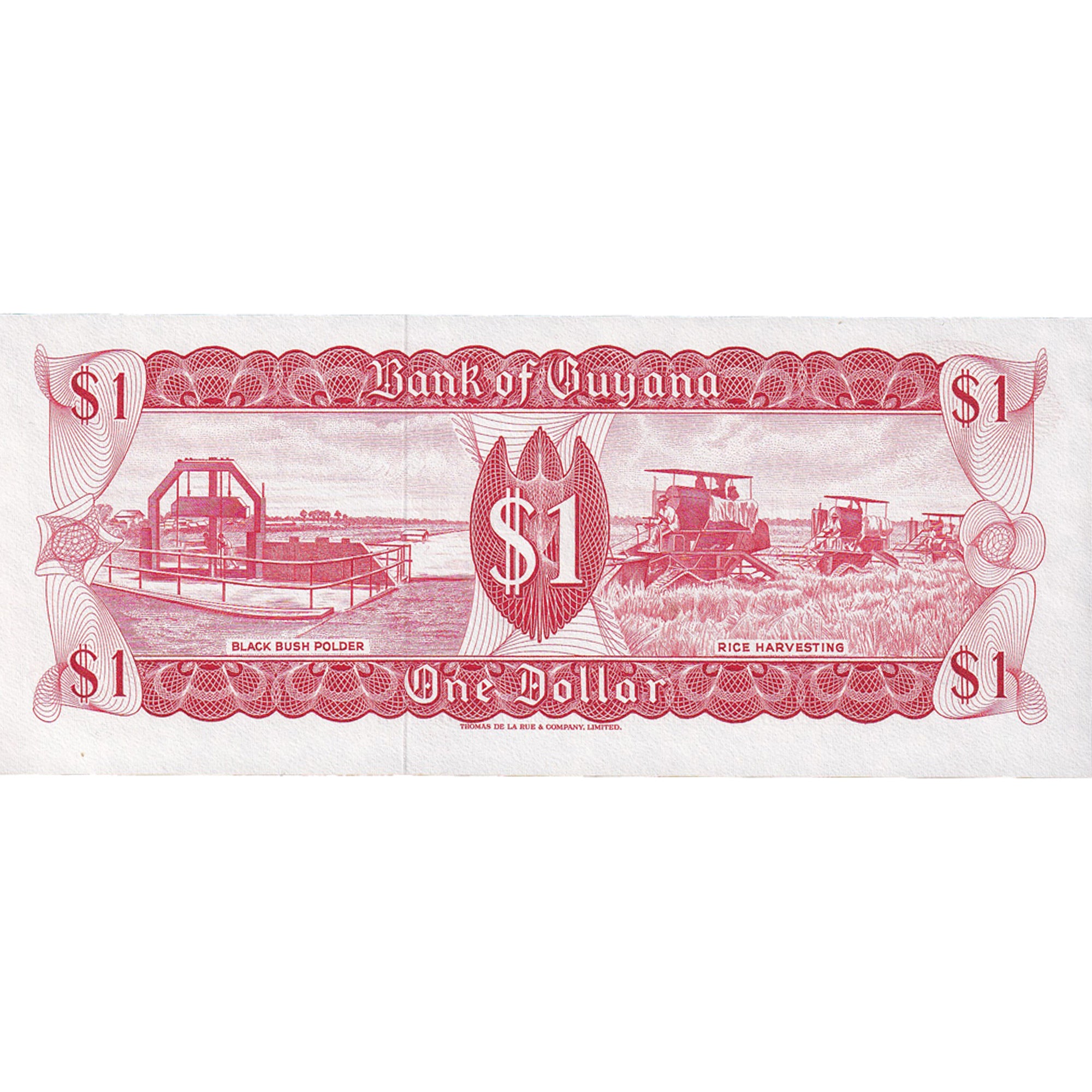 Banknote, Guyana, 1 Dollar, 1989, KM:21f, UNC(65-70)