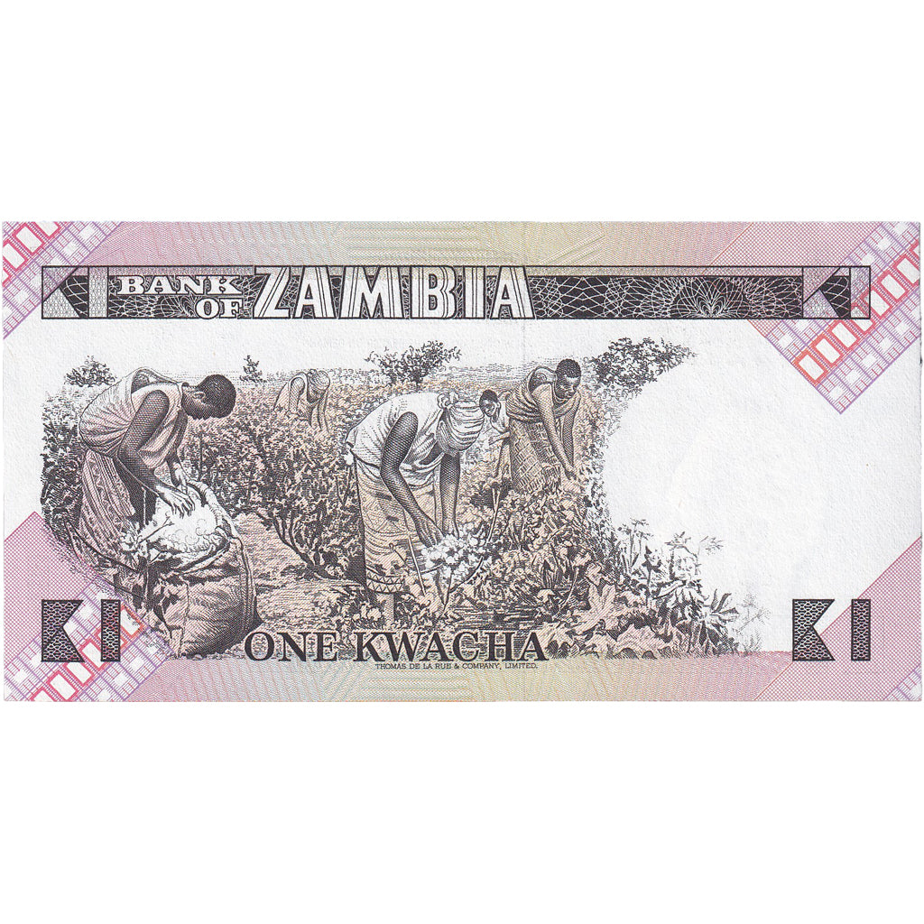 Billet, Zambie, 1 Kwacha, Undated (1980-88), Undated, KM:23b, NEUF