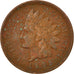 Moneda, Estados Unidos, Indian Head Cent, Cent, 1905, U.S. Mint, Philadelphia