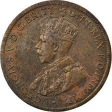 Coin, Australia, George V, 1/2 Penny, 1919, EF(40-45), Bronze, KM:22