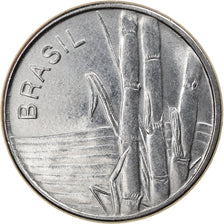 Monnaie, Brésil, Cruzeiro, 1982, TTB, Stainless Steel, KM:590
