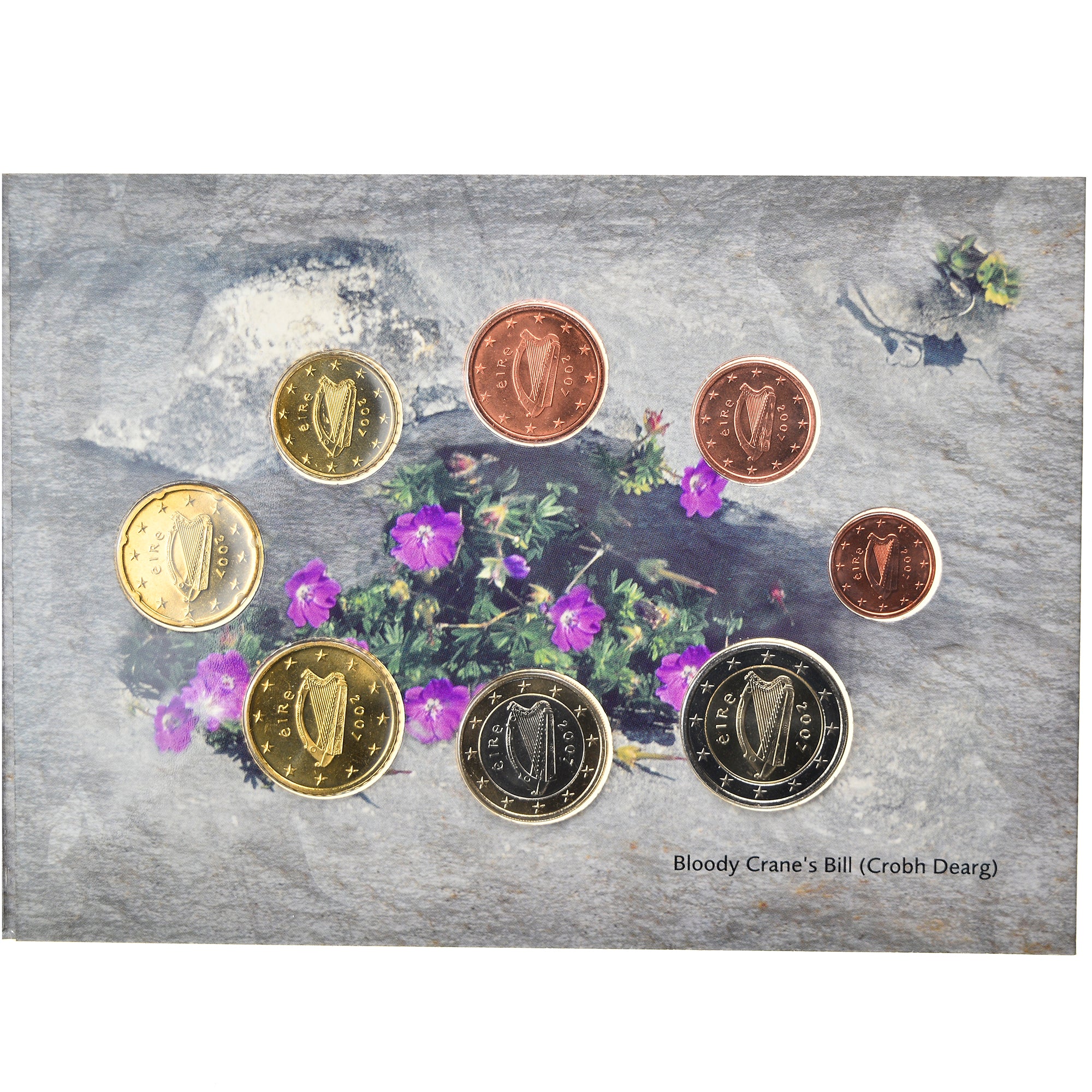 IRELAND REPUBLIC, 1 Cent to 2 Euro, 2007, MS(65-70)