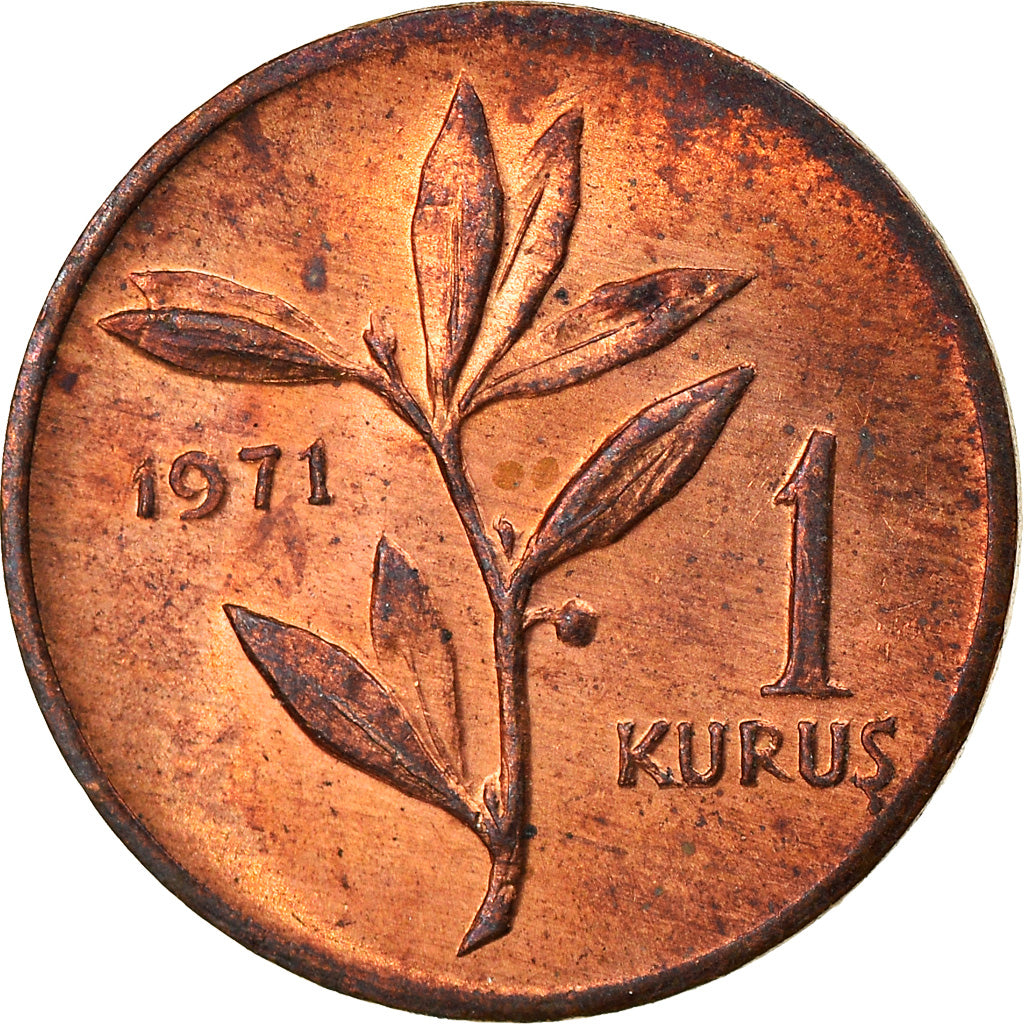 Moneta, Turchia, Kurus, 1971, BB, Bronzo, KM:895a