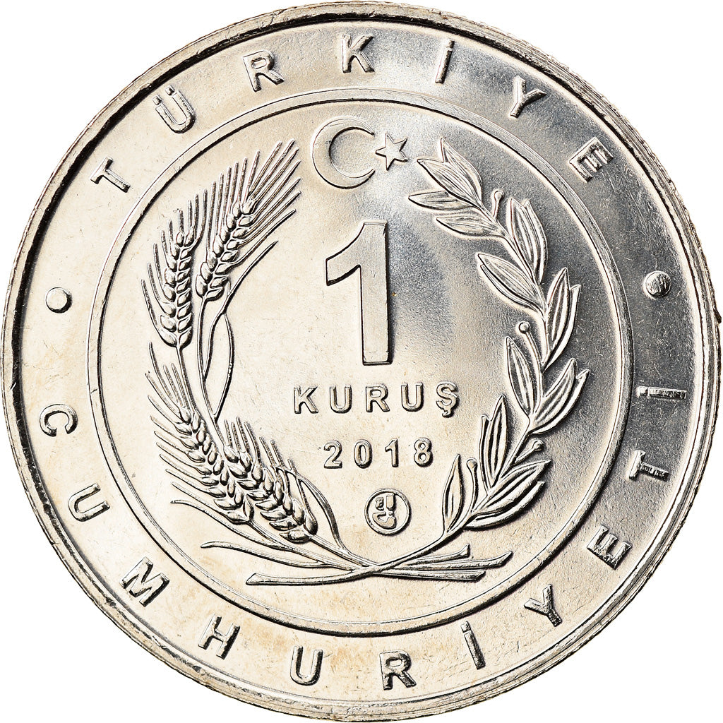Münze, Türkei, Eurasian Scops Owl, Kurus, 2018, UNZ, Nickel Silver