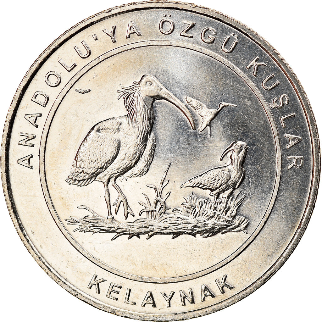 Coin, Turkey, Northern bald ibis, Kurus, 2018, MS(63), Nickel Silver