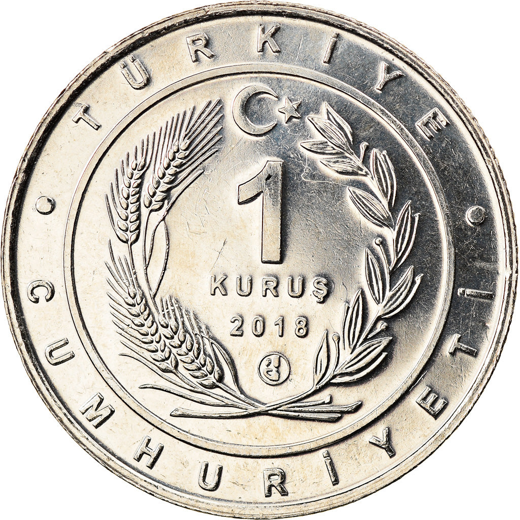 Coin, Turkey, Northern bald ibis, Kurus, 2018, MS(63), Nickel Silver