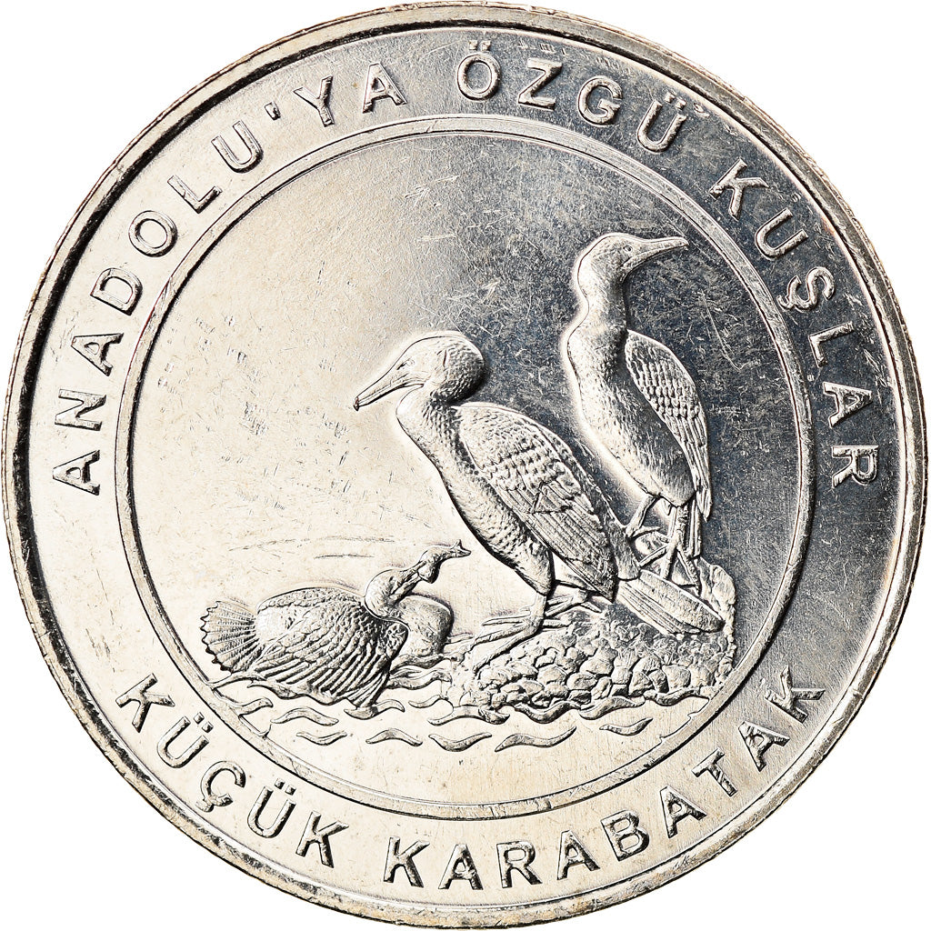Coin, Turkey, Pygmy Cormorant, Kurus, 2018, MS(63), Nickel Silver
