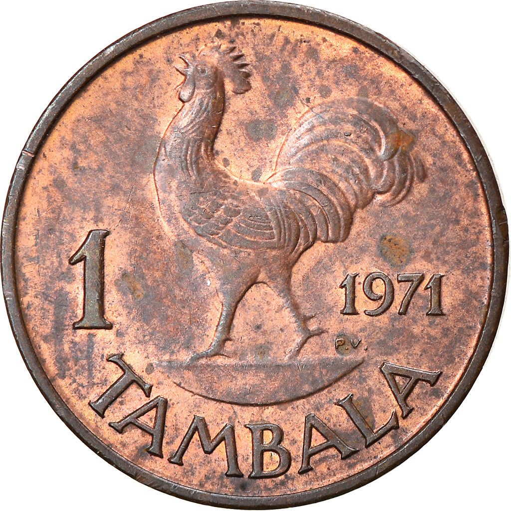 Coin, Malawi, Tambala, 1971, EF(40-45), Bronze, KM:7.1