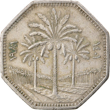 Coin, Iraq, 50 Fils, 1969, EF(40-45), Copper-nickel, KM:128