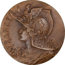 França, medalha, Concours de Tir, Ville de Dinan, Desportos e Lazer, Marey