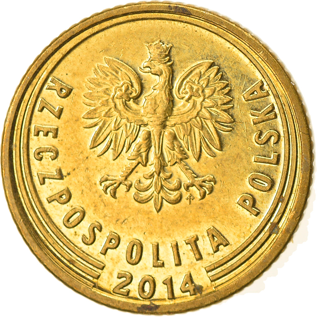 Monnaie, Pologne, Grosz, 2014, Warsaw, TTB, Laiton