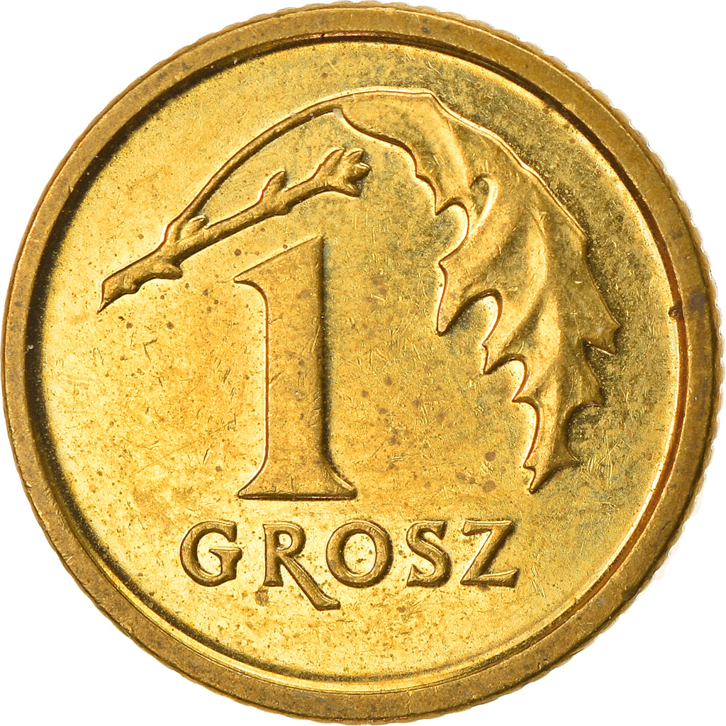 Monnaie, Pologne, Grosz, 2014, Warsaw, TTB, Laiton