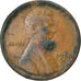 Moneta, Stati Uniti, Lincoln Cent, Cent, 1950, U.S. Mint, Denver, MB, Ottone