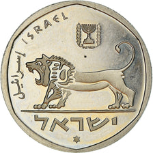 Coin, Israel, 1/2 Sheqel, 1981, Piéfort, AU(55-58), Copper-nickel, KM:109