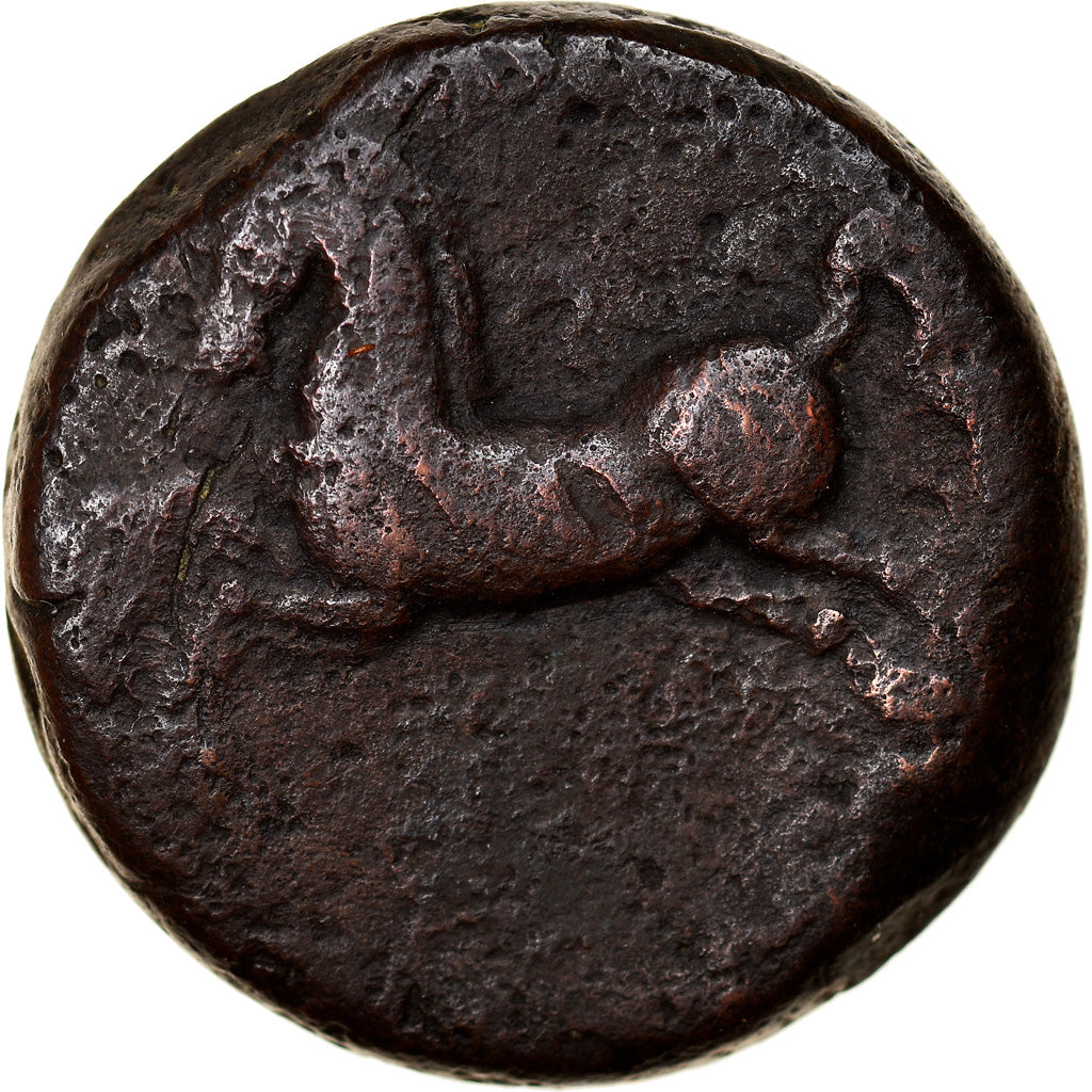 Monnaie, Numidia (Kingdom of), Massinissa ou Micipsa, Bronze Æ, 2ème siècle