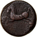 Monnaie, Numidia (Kingdom of), Massinissa ou Micipsa, Bronze Æ, 2ème siècle