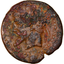 Münze, Numidia (Kingdom of), Massinissa or Micipsa, Bronze Æ, 2nd century BC