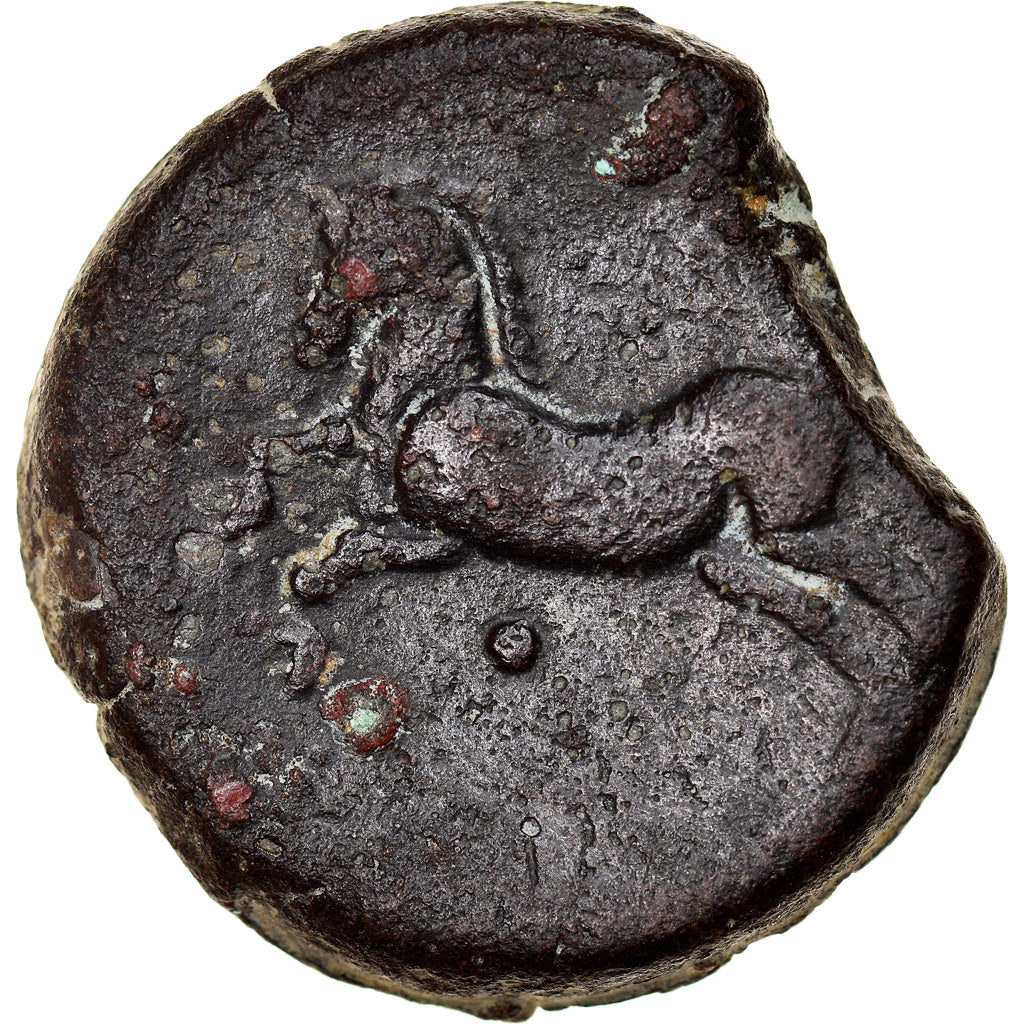 Monnaie, Numidia (Kingdom of), Massinissa ou Micipsa, Bronze Æ, 2ème siècle