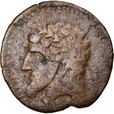 Moneda, Numidia (Kingdom of), Massinissa or Micipsa, Bronze Æ, 2nd century BC