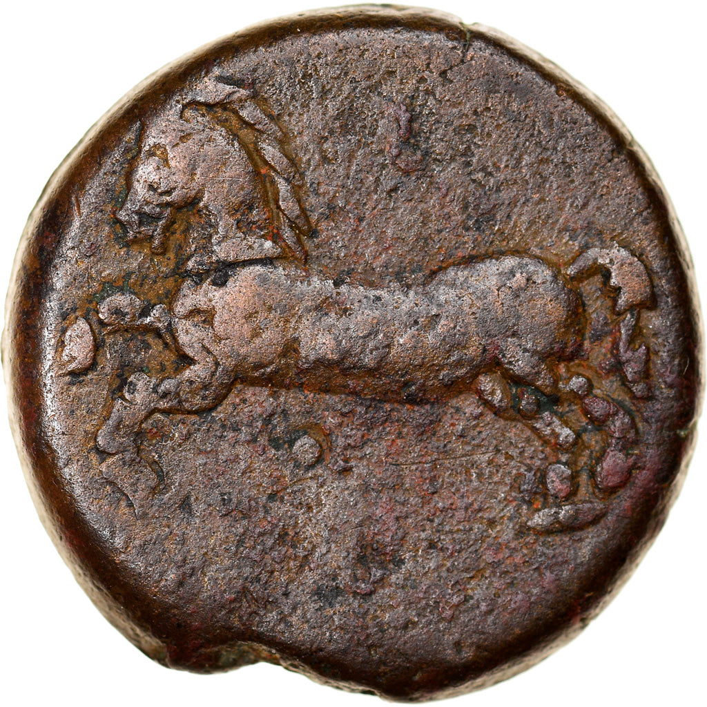 Moneda, Numidia (Kingdom of), Massinissa or Micipsa, Bronze Æ, 2nd century BC