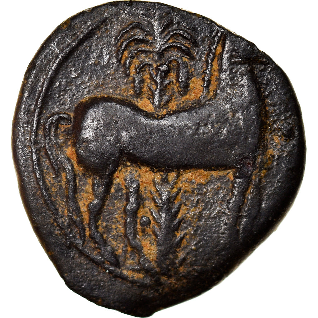 Coin, Carthage, Zeugitane, Tanit, Bronze Æ, 4th century BC, Carthage