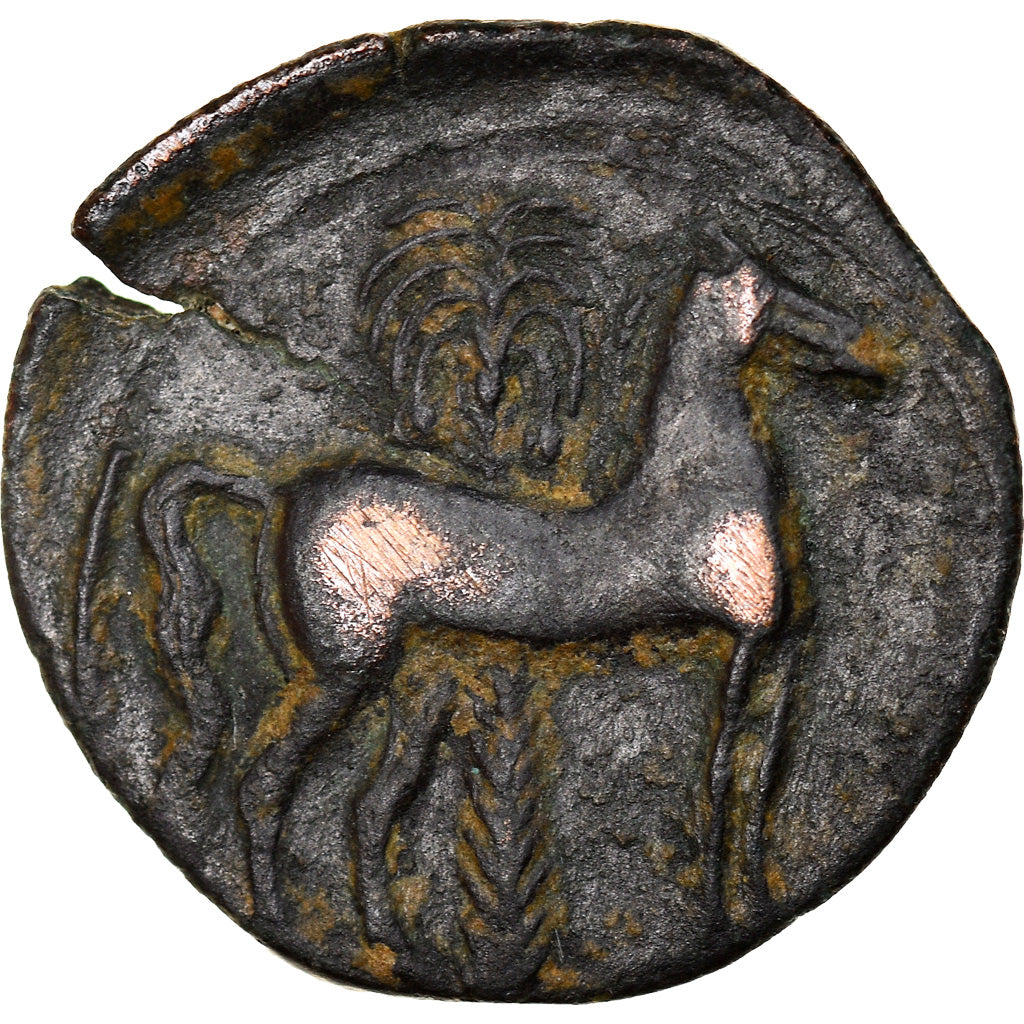 Moneta, Carthage, Zeugitane, Tanit, Bronze Æ, 4th century BC, Carthage, BB