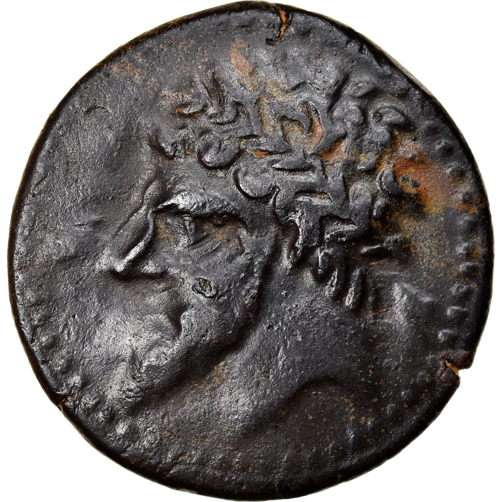Moneta, Numidia (Kingdom of), Massinissa or Micipsa, Bronze Æ, 2nd century BC