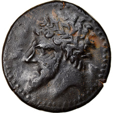 Moneta, Numidia (Kingdom of), Massinissa or Micipsa, Bronze Æ, 2nd century BC