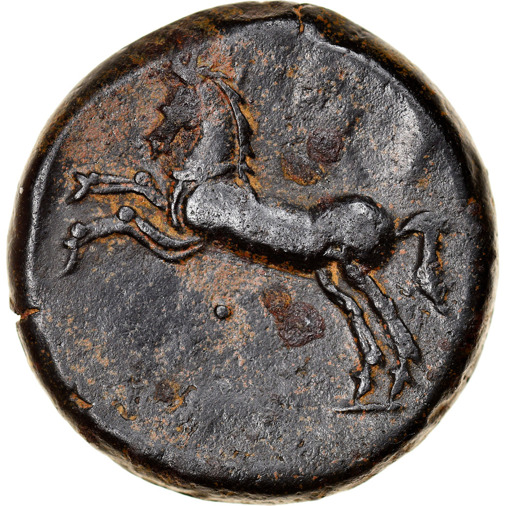 Moneta, Numidia (Kingdom of), Massinissa or Micipsa, Bronze Æ, 2nd century BC