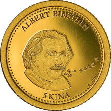 Moneta, Papua Nuova Guinea, Albert EINSTEIN, 5 Kina, 2013, FDC, Oro