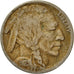 Coin, United States, Buffalo Nickel, 5 Cents, 1923, U.S. Mint, Philadelphia