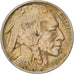 Coin, United States, Buffalo Nickel, 5 Cents, 1918, U.S. Mint, Philadelphia